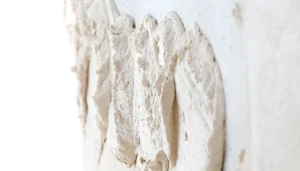 Gypsum_Plaster_Additives